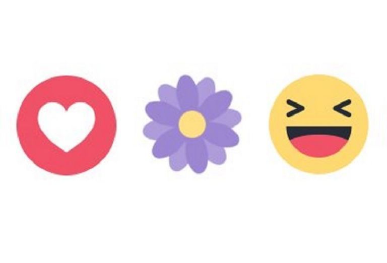 Das ist es also, was die Facebook-Reaktion der Blume wirklich bedeutet
