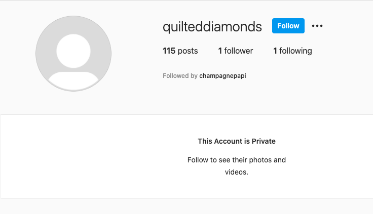 vse slavne osebe z lažnimi instagram računi, ki jih niste