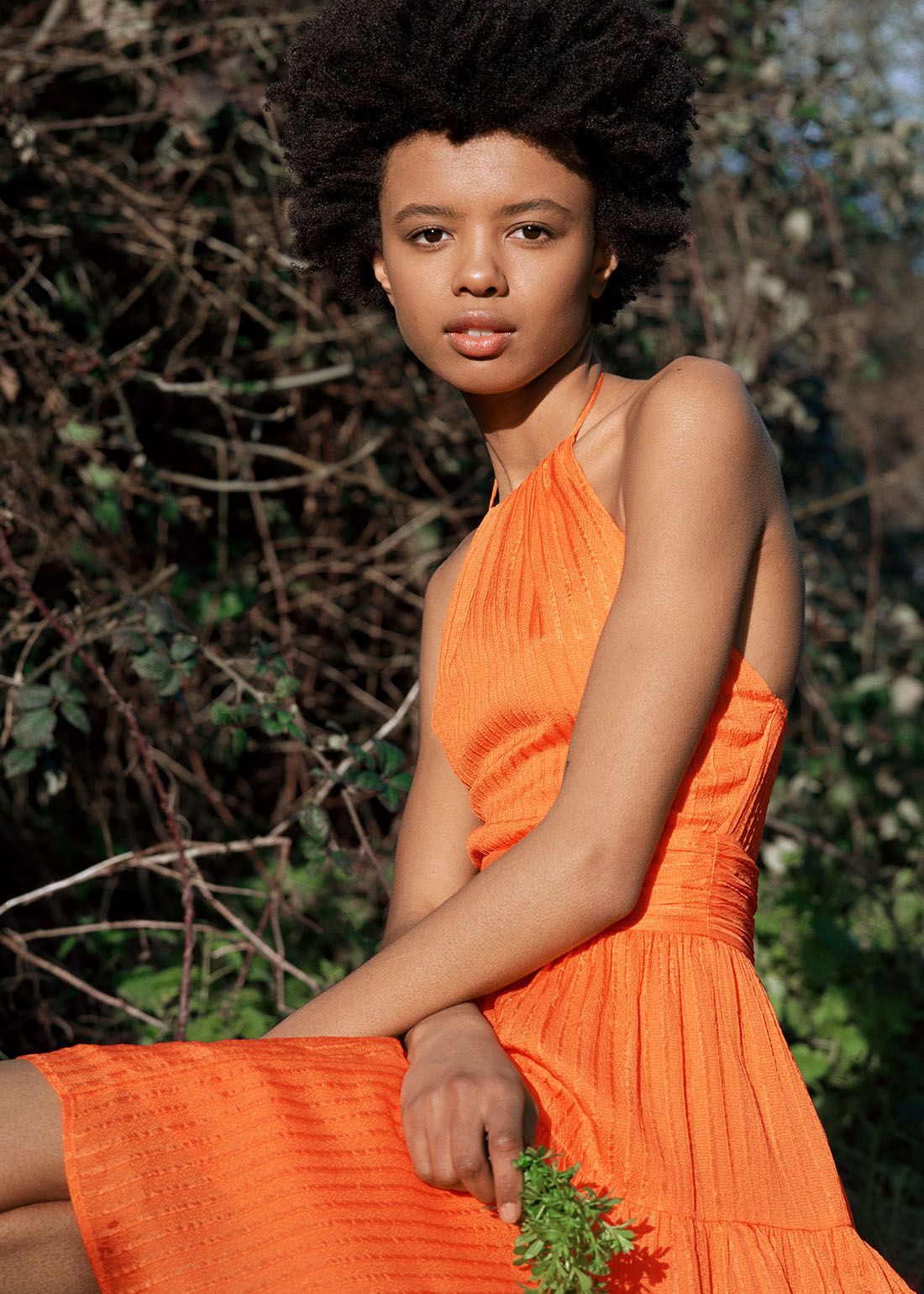 modell sitter blant trær i oransje halterneck -kjole som holder små grønne stilker