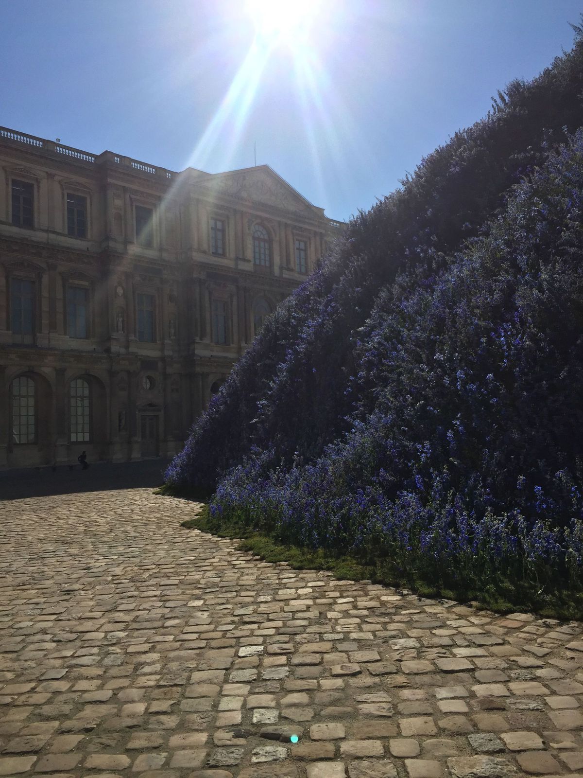 Dior pflanzt eine halbe Million Blumen im Louvre für die Frühjahrsshow 2016