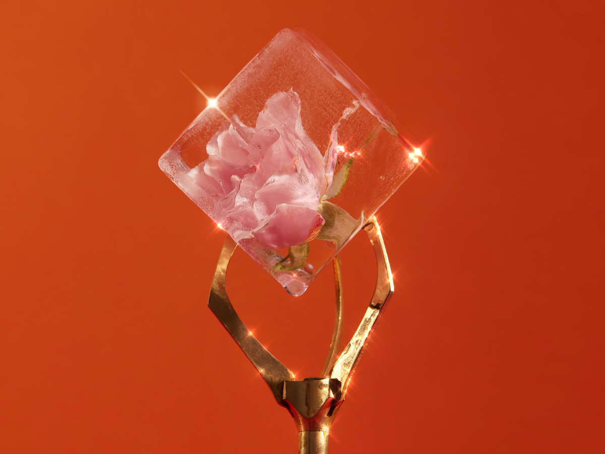 roosa lill jääkuubikusse külmunud, mida hoiab üleval metallküüs, tumedal oranžil taustal